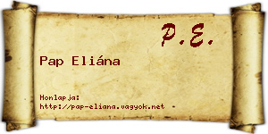 Pap Eliána névjegykártya